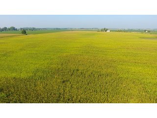 Property photo 10 - LAND AUCTION - 359+/- ACRES IN 2 FARMS IN EAST ALLEN CO., INDIANA & PAULDING CO., OHIO